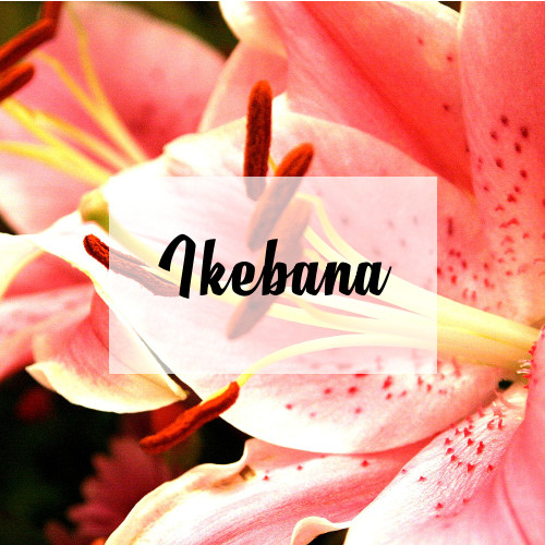ikebana